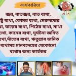 পেইন কিউর