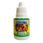 Booster-2