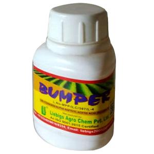 Bumper
